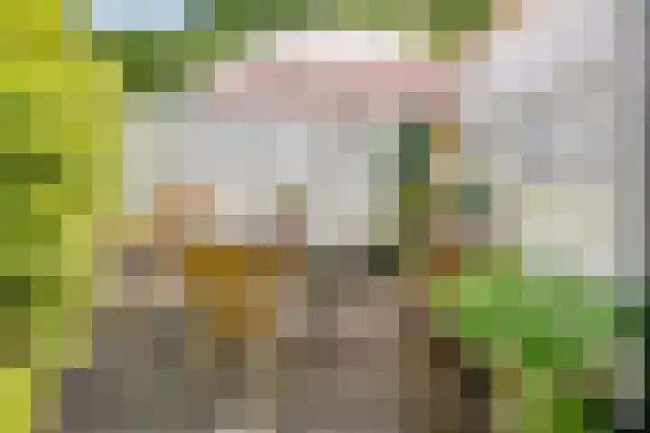 Ottoburgstraat 22 Rijswijk thumbnail 36