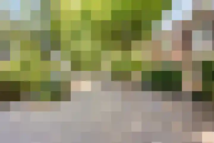 Ottoburgstraat 22 Rijswijk thumbnail 39