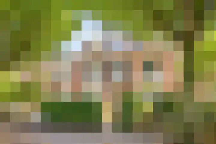 Ottoburgstraat 22 Rijswijk thumbnail 45