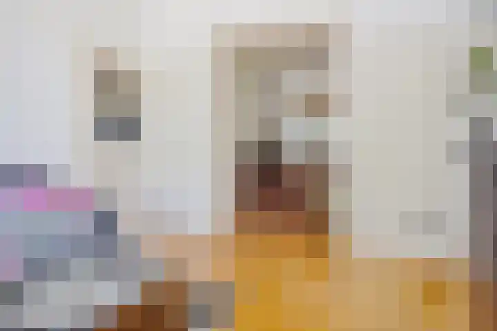 Ottoburgstraat 22 Rijswijk thumbnail 5