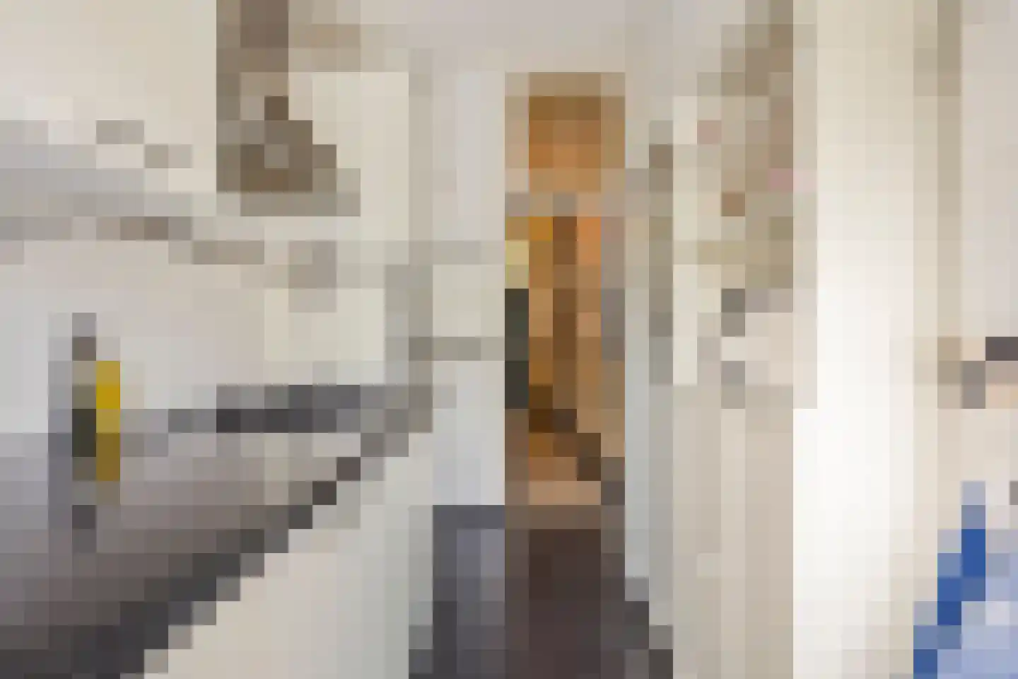 Ottoburgstraat 30 Rijswijk thumbnail 18