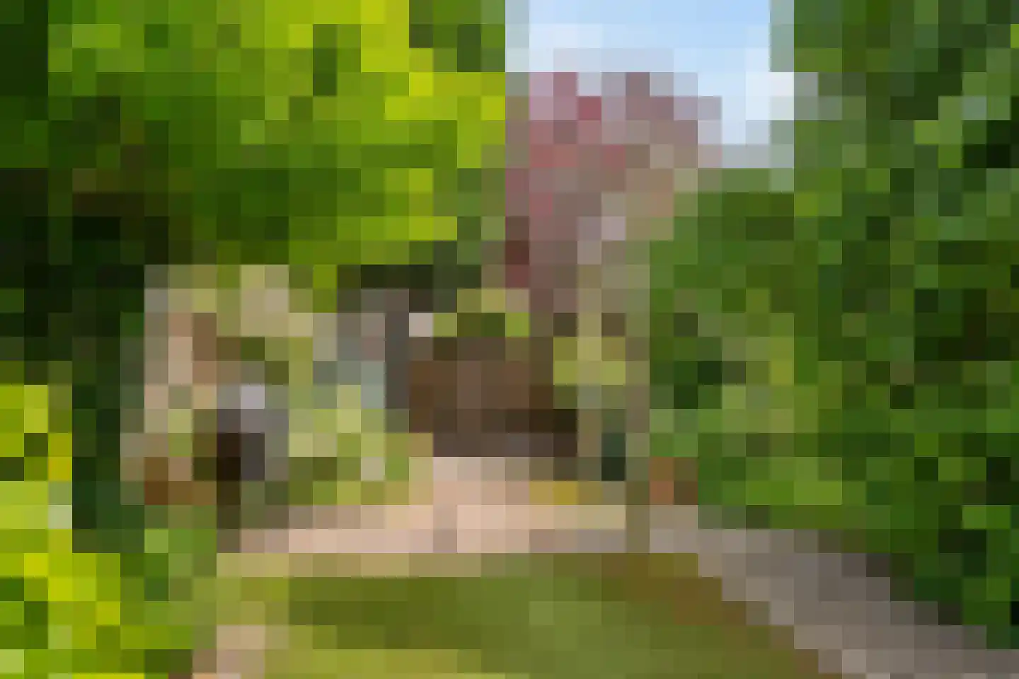 Ottoburgstraat 30 Rijswijk thumbnail 51
