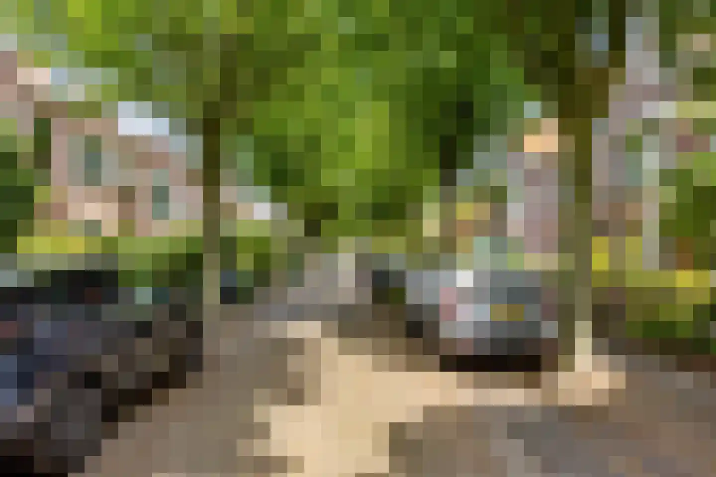 Ottoburgstraat 30 Rijswijk thumbnail 57