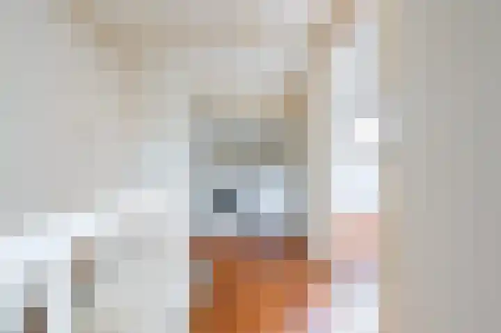 Ottoburgstraat 41 Rijswijk thumbnail 23