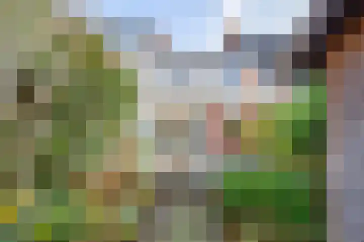 Ottoburgstraat 41 Rijswijk thumbnail 4