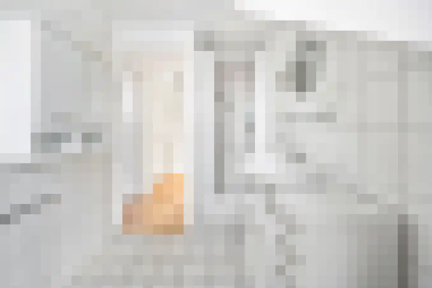 Ottoburgstraat 42 Rijswijk thumbnail 26