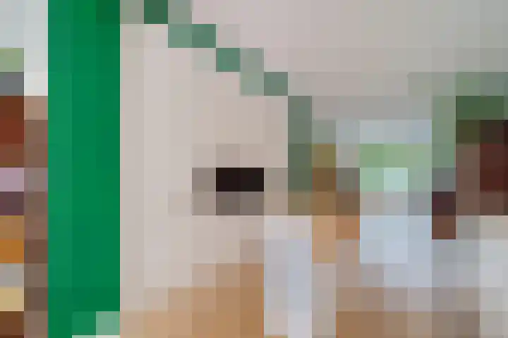 Ottoburgstraat 68 Rijswijk thumbnail 8