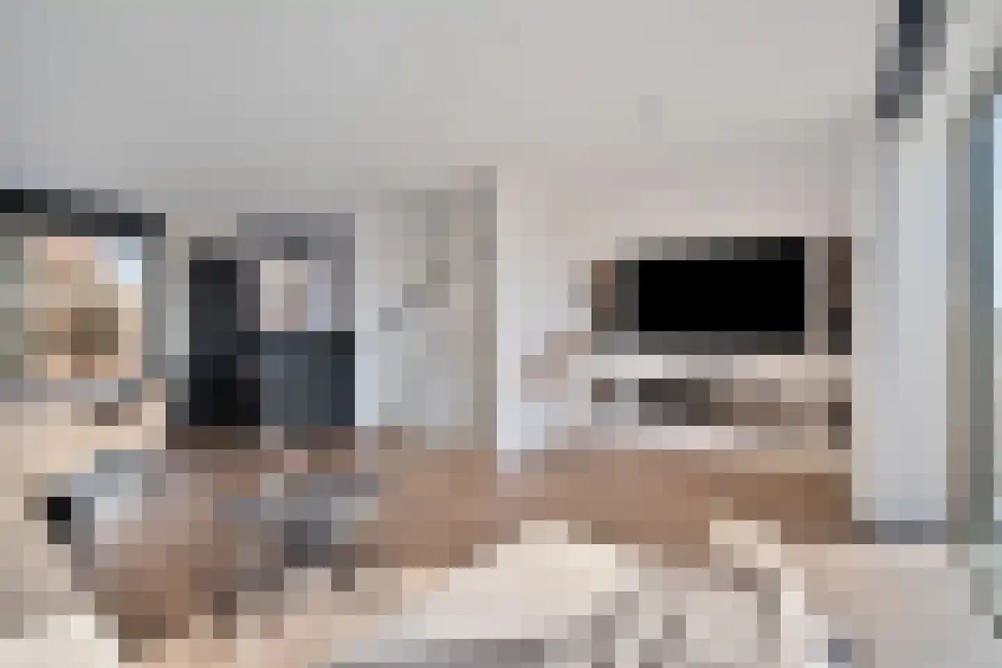 Ottodreef 40 Dronten thumbnail 15