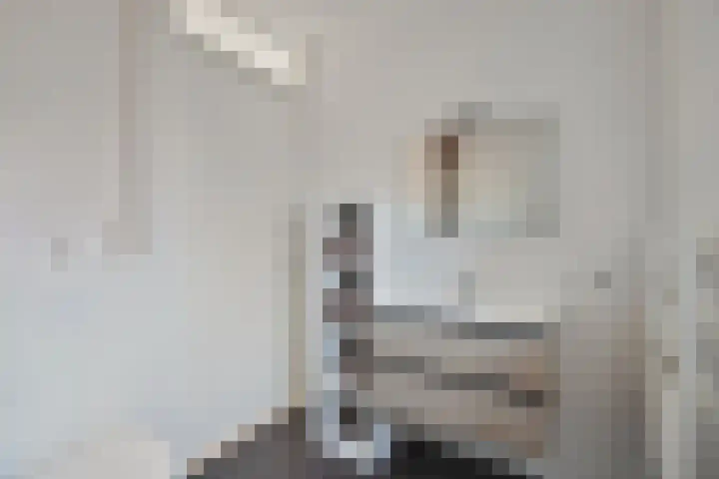 Ottodreef 40 Dronten thumbnail 25