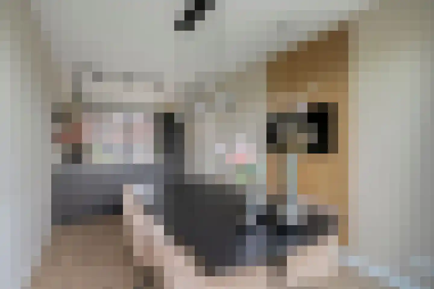 Ottodreef 42 Dronten thumbnail 20