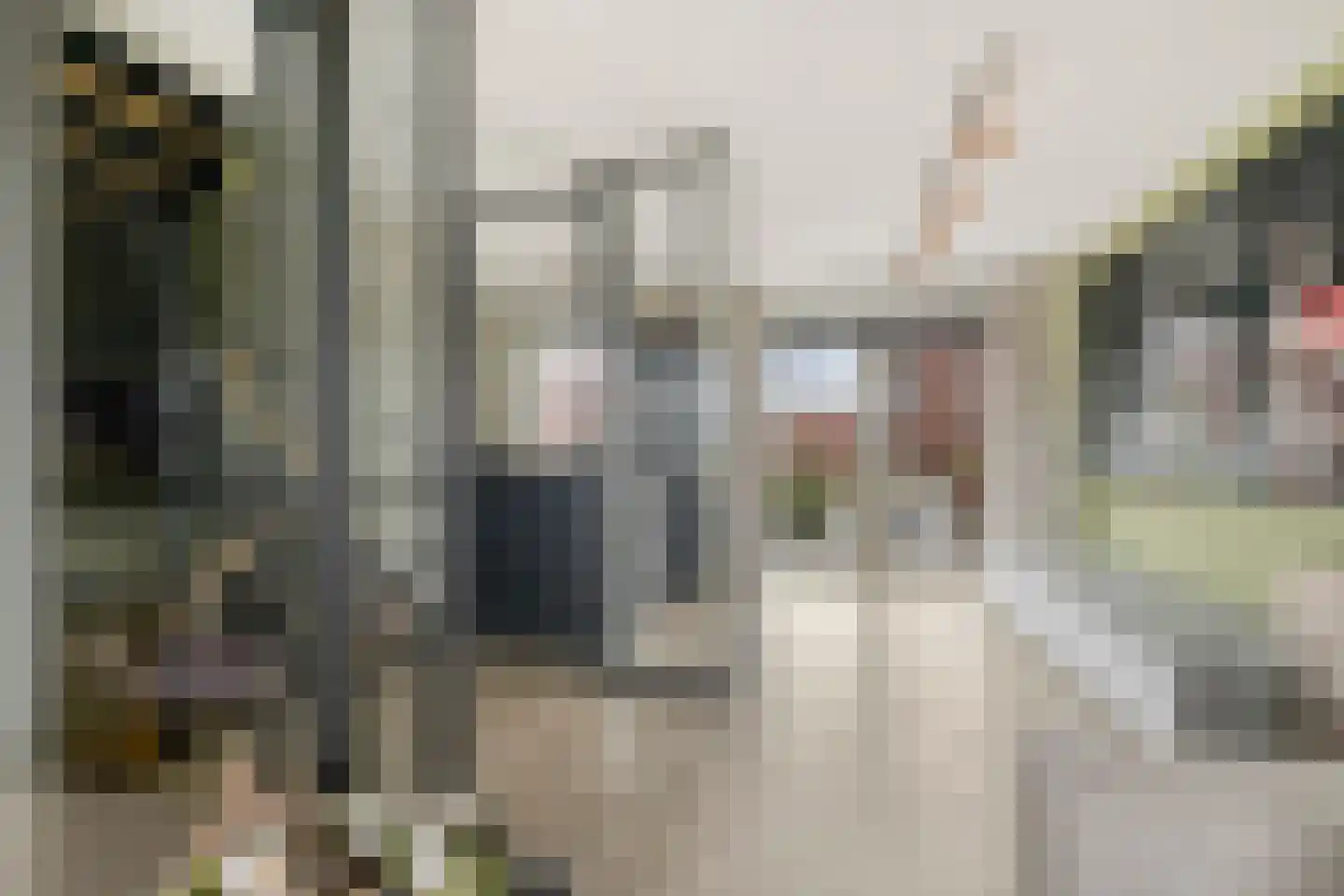 Ottodreef 46 Dronten thumbnail 13