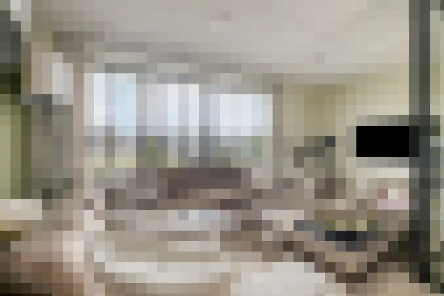 Ottodreef 46 Dronten thumbnail 16