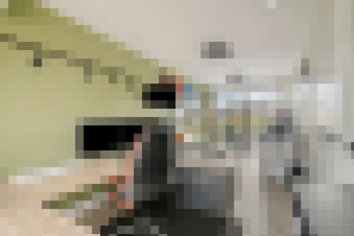 Ottodreef 46 Dronten thumbnail 9