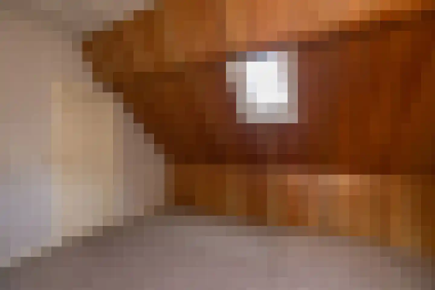 Ottolandse Kade 1 Ottoland thumbnail 22