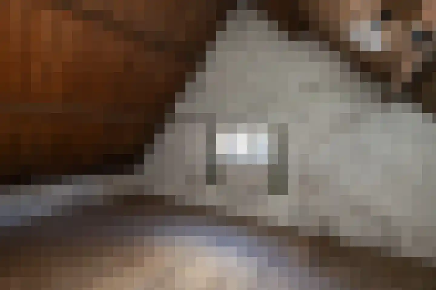 Ottolandse Kade 1 Ottoland thumbnail 23