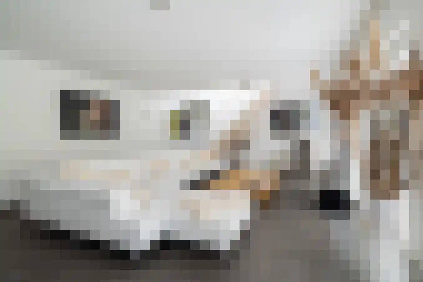 Ottolandstraat 8 Zoetermeer thumbnail 16