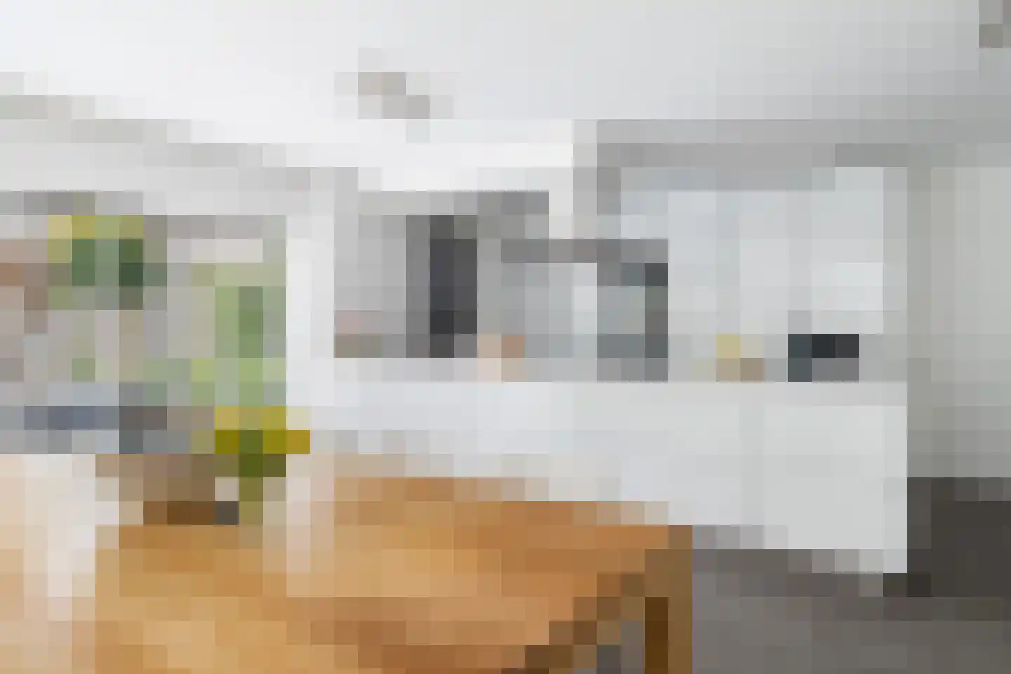 Ottolandstraat 8 Zoetermeer thumbnail 22