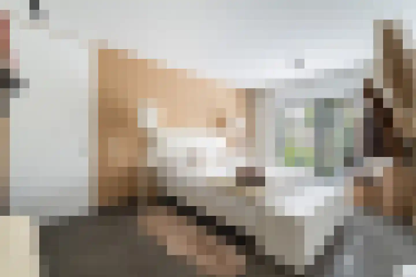 Ottolandstraat 8 Zoetermeer thumbnail 30