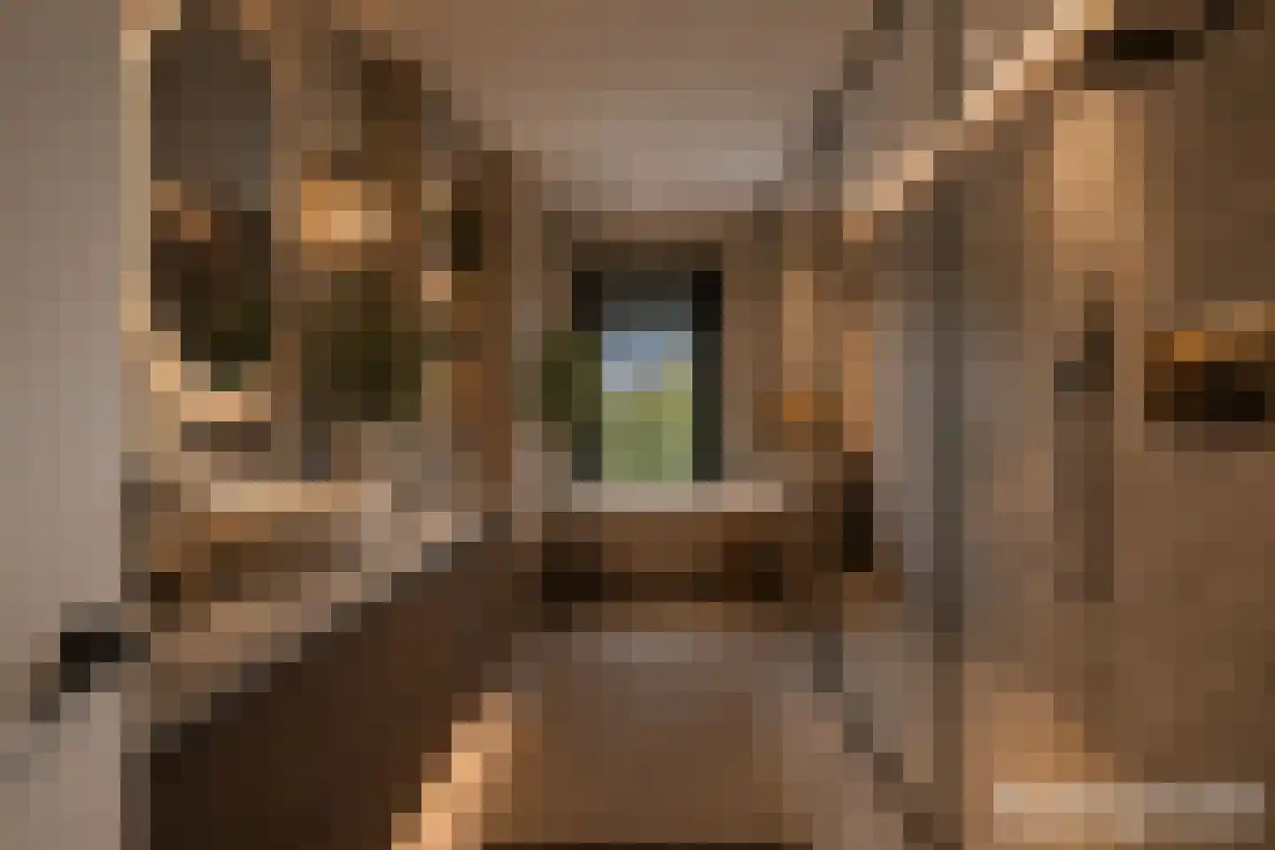 Ottolandstraat 8 Zoetermeer thumbnail 32