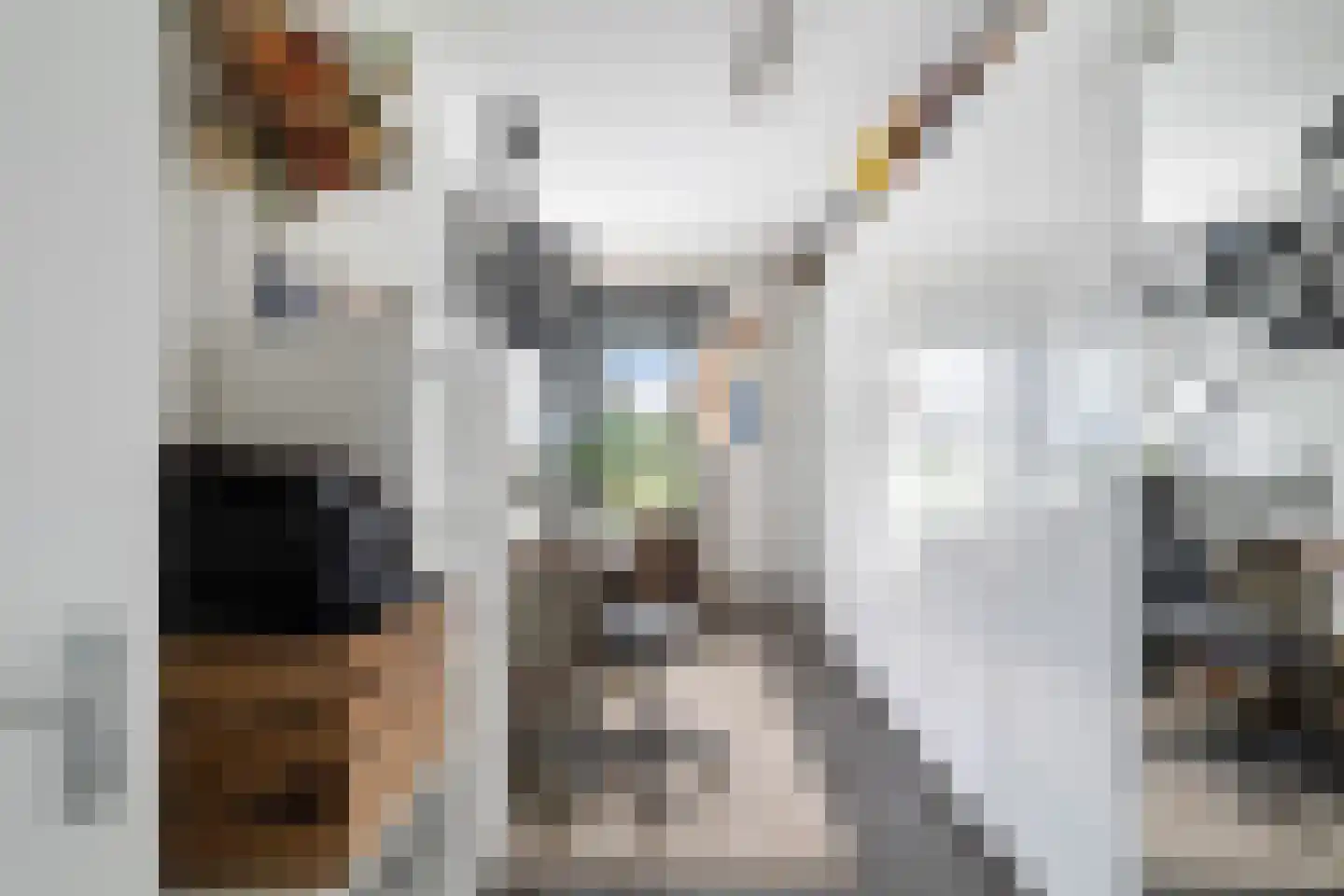 Ottolandstraat 8 Zoetermeer thumbnail 34