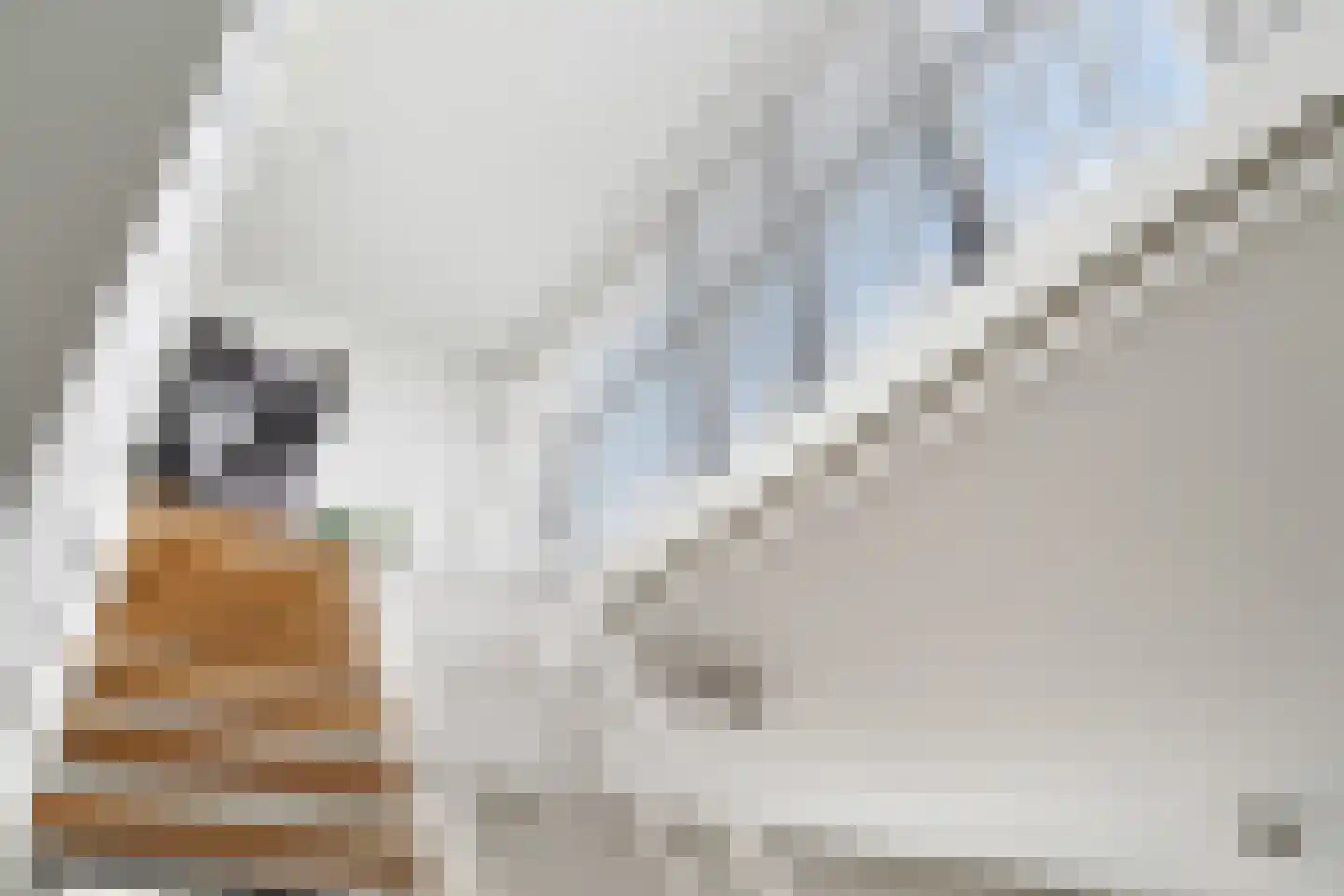 Ottolandstraat 8 Zoetermeer thumbnail 46