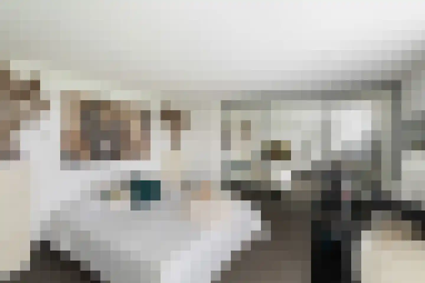 Ottolandstraat 8 Zoetermeer thumbnail 47