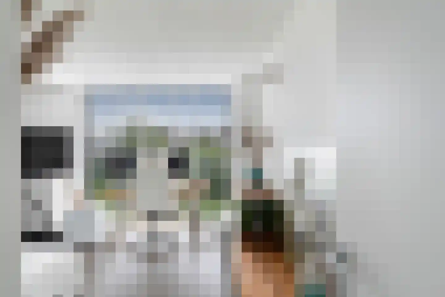 Ottolandstraat 8 Zoetermeer thumbnail 47