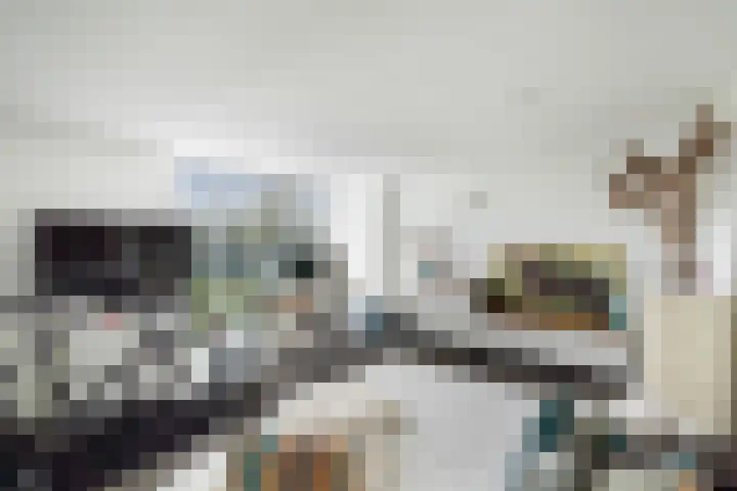 Ottolandstraat 8 Zoetermeer thumbnail 49