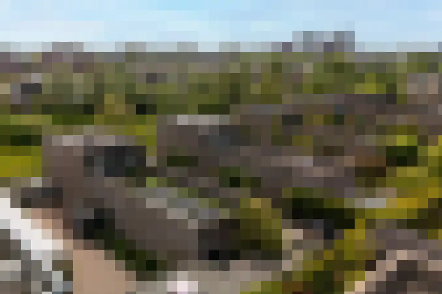 Ottolandstraat 8 Zoetermeer thumbnail 59