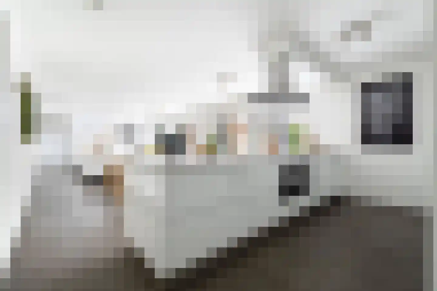 Ottolandstraat 8 Zoetermeer thumbnail 6