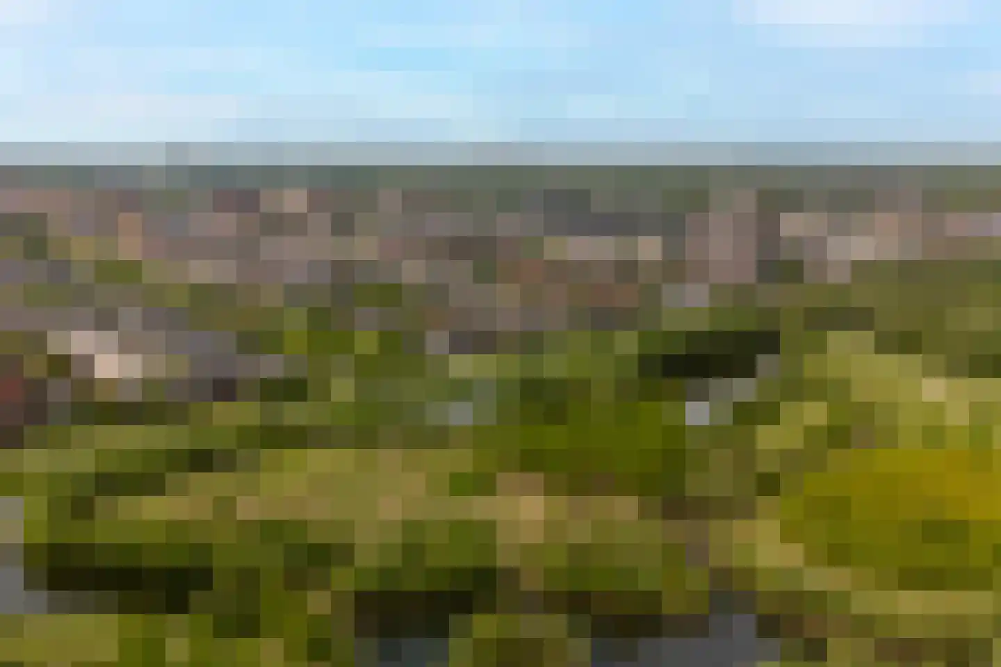 Ottolandstraat 8 Zoetermeer thumbnail 64