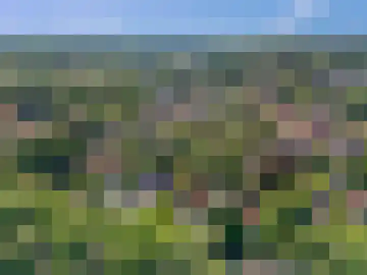 Ottoweg 13 Heelsum thumbnail 4