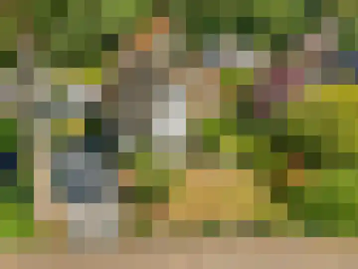Ottoweg 13 Heelsum thumbnail 54