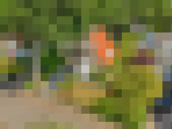 Ottoweg 13 Heelsum thumbnail 57