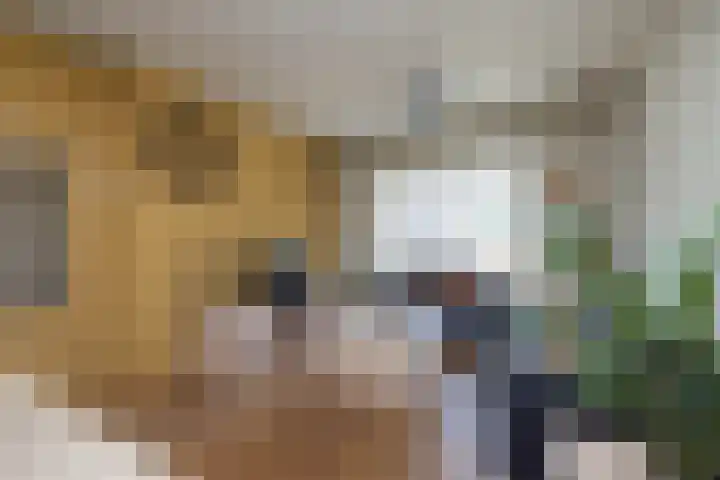 Ottoweg 47 Hengelo thumbnail 4