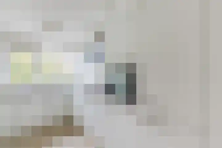 Oturia 4 Amsterdam thumbnail 13