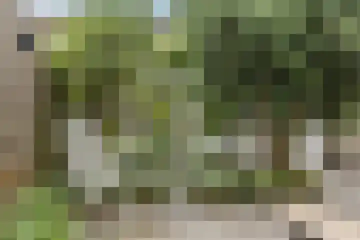 Oturia 4 Amsterdam thumbnail 28