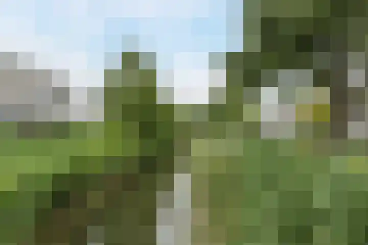 Oturia 4 Amsterdam thumbnail 33