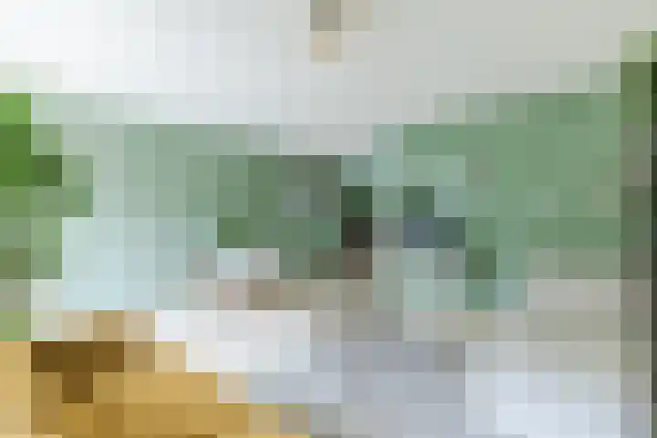 Oturia 4 Amsterdam thumbnail 6