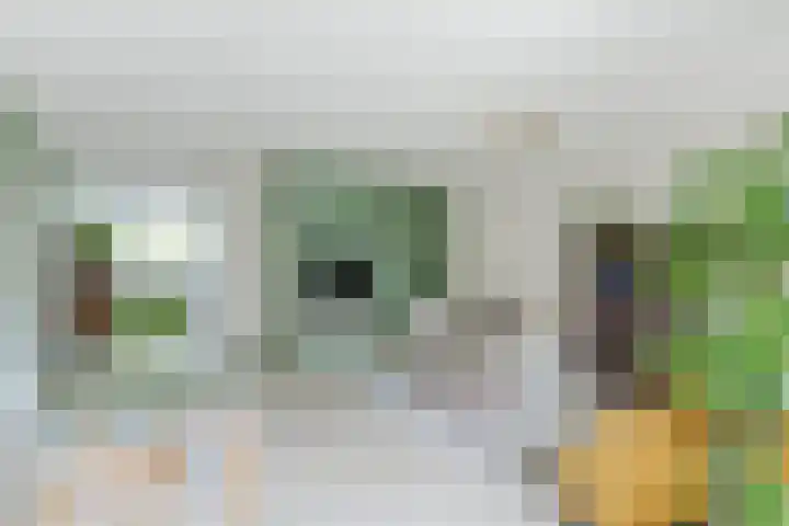 Oturia 4 Amsterdam thumbnail 7