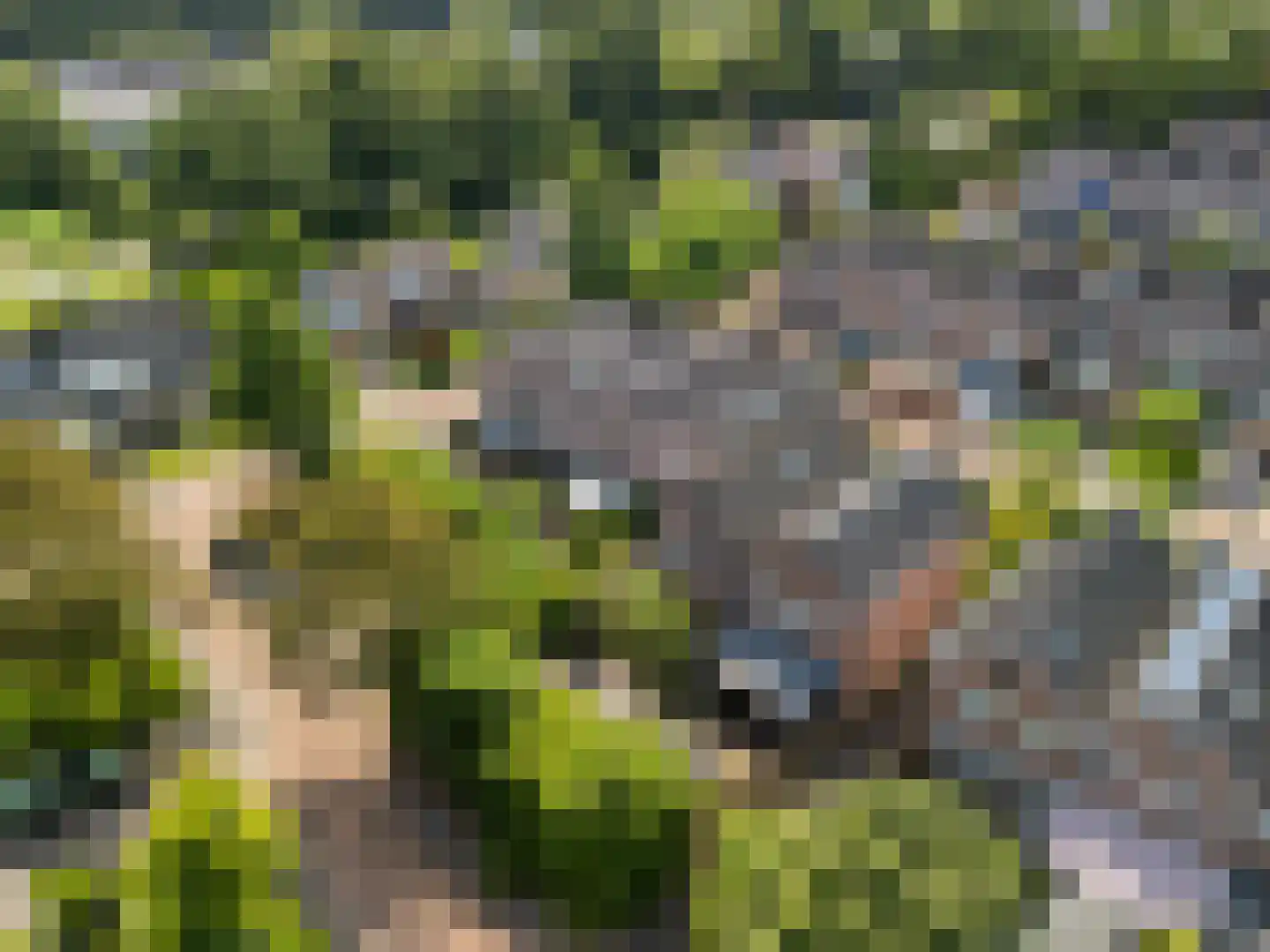 Otwardplaats 19 Hoevelaken thumbnail 29