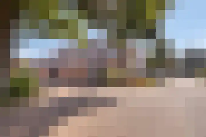 Otwardplaats 25 Hoevelaken thumbnail 4