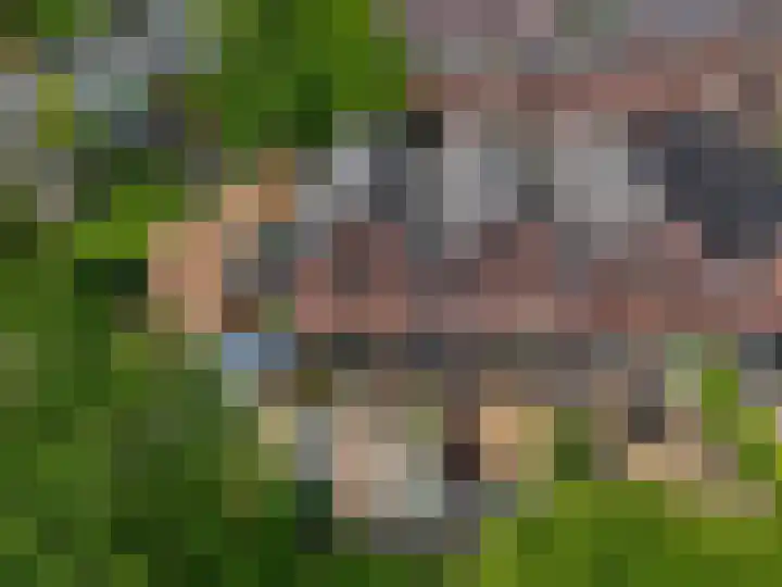 Otwardplaats 27 Hoevelaken thumbnail 39
