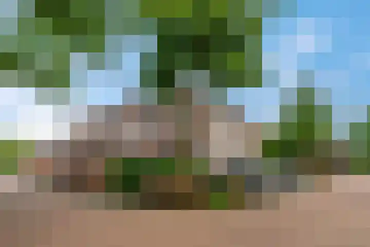Otwardplaats 27 Hoevelaken thumbnail 40