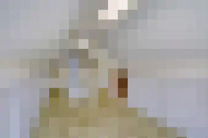 Otwardplaats 4 Hoevelaken thumbnail 29