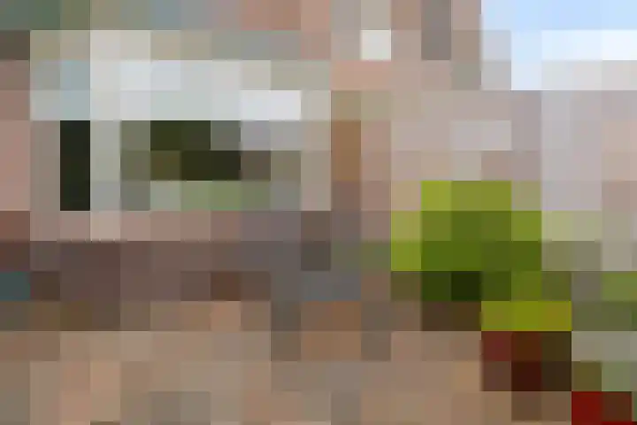 Otwardplaats 4 Hoevelaken thumbnail 33
