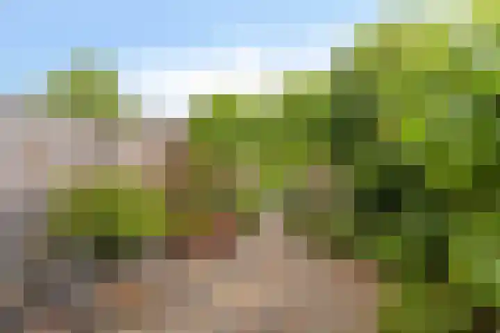 Otwardplaats 4 Hoevelaken thumbnail 34