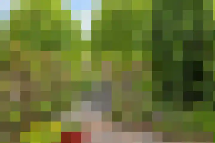 Otwardplaats 4 Hoevelaken thumbnail 36