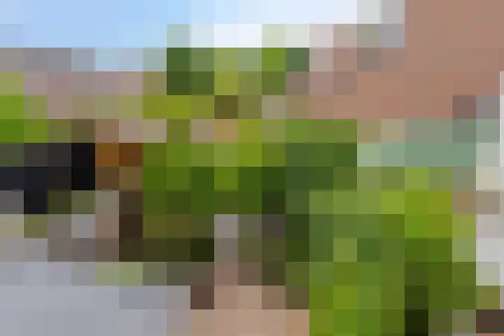 Otwardplaats 4 Hoevelaken thumbnail 37