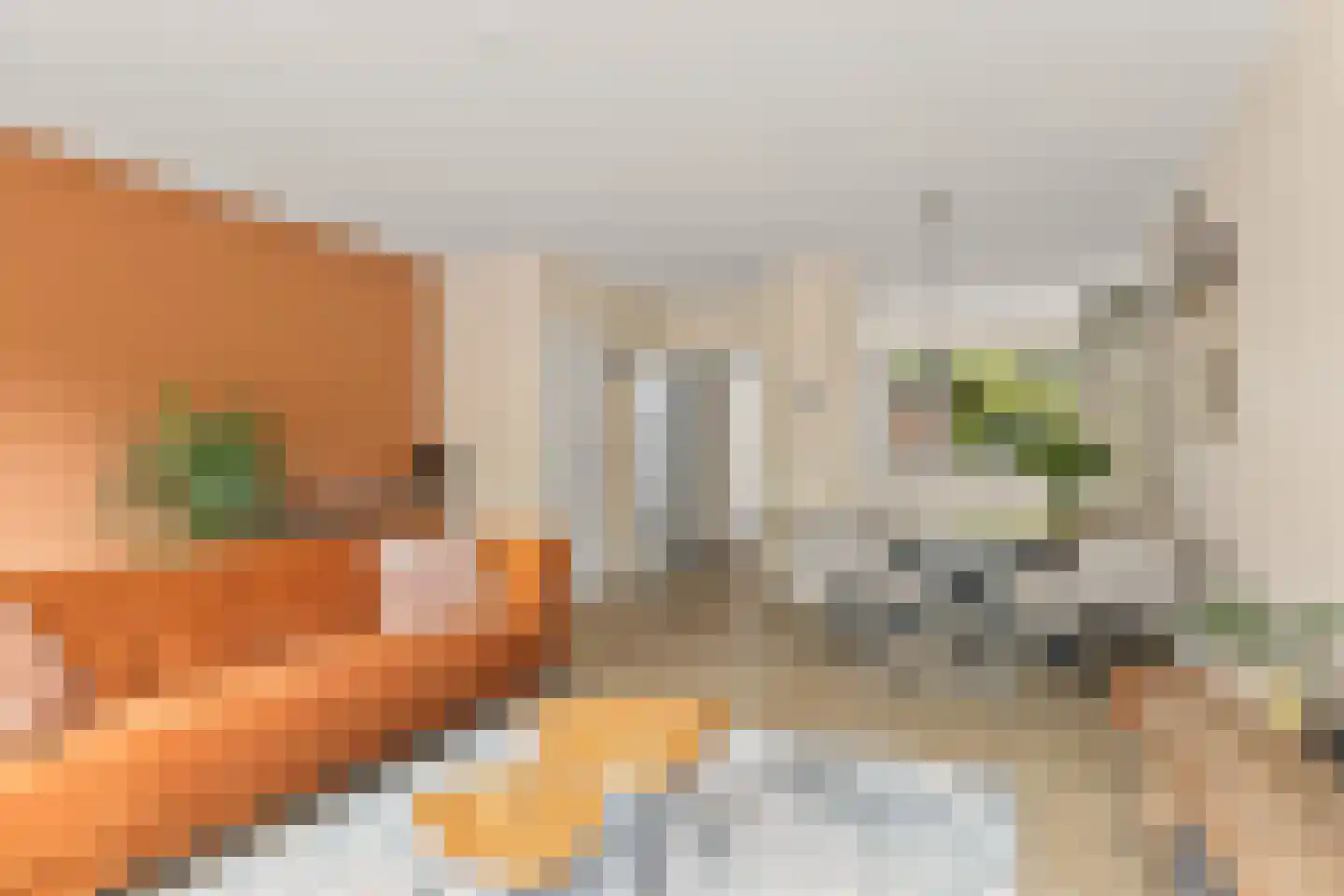 Otwardplaats 8 Hoevelaken thumbnail 11